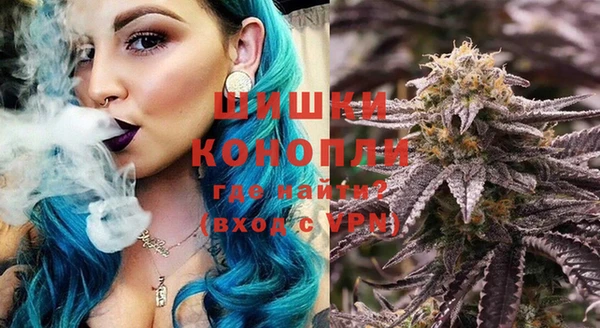 гашик Аркадак